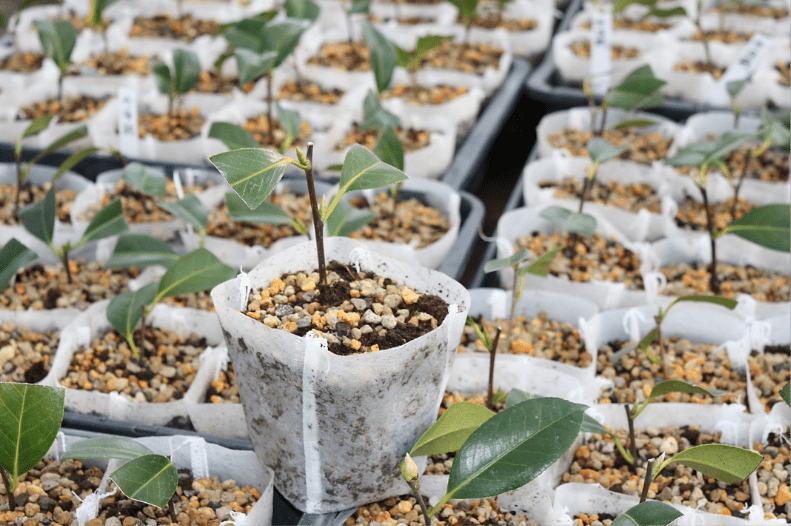 環境配慮型製品の開発